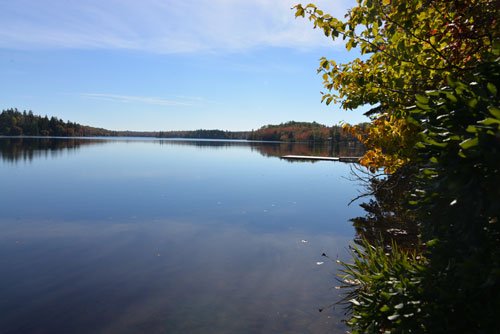 Herbst2016 (7)